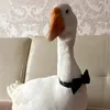 az_demek_qk