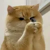 emmeboylove3
