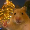 tram_dethuong