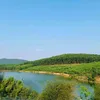 hosyhoang16042000