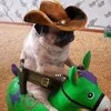 sobaka_cowboy