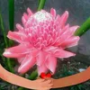 quangduy52956