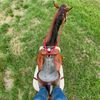 claresmith661