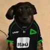 mthszin_sv7k