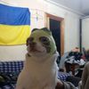 prosto_vana1