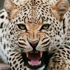 user5t12qgqc16