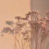 hoaingan_2709