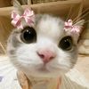 nanaaaaad31