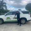 luispe80549141035