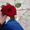 uzagsan_