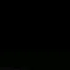 todyn_02