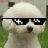 k__rlv