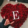shosho_aldloah
