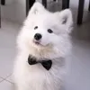 liluziburst