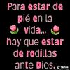 userp1exlm1fdqrobertvera