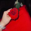 anfalbd6