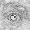 elconviveyolman
