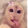 clarissa_mussa04