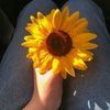 happy._.girl1298456777