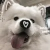 vaaaannn13