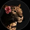 _.shahed._alb316