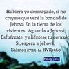 saraandrade0581
