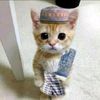 willypratama355