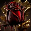 user2116694091278