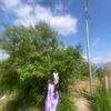 bipana_rayamajhi