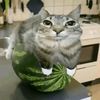 mmfood0