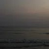 bvl_1110
