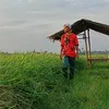 irwandi569sp