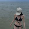 jelll_leci98