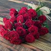 user5610014780046