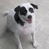 mr.milksua