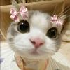 intanpriska620