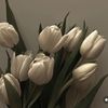 m_88ae