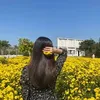 lyly9947
