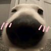 bbbenn_10