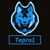 tepro13