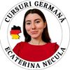 cursuri.germana.online