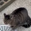 usersyuww035
