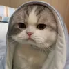 phu.thuy2409