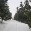 _anw_591