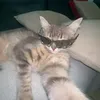 aliciaruree_1