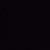 xilo_313