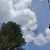 skybontot