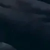 m__shor__7sa