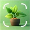 mohamedkamal5423