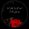 mshazhaddhuddi0786